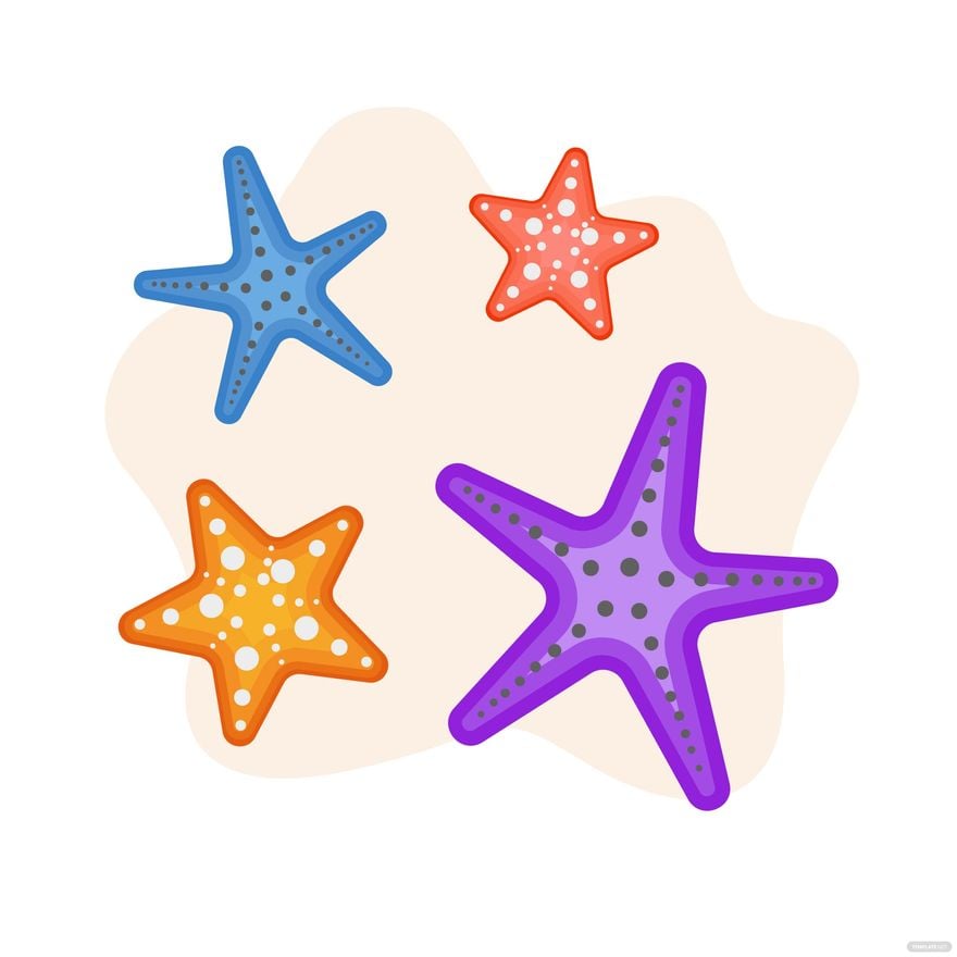 Star Fish Vector