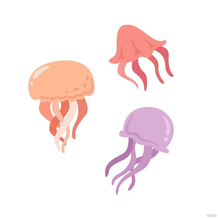 Jelly Fish Vector in Illustrator, EPS, SVG, JPG, PNG