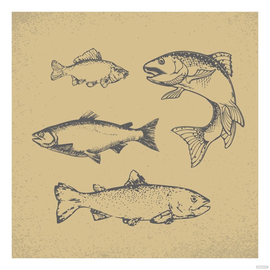 Vintage Fish Vector in Illustrator, EPS, SVG, JPG, PNG