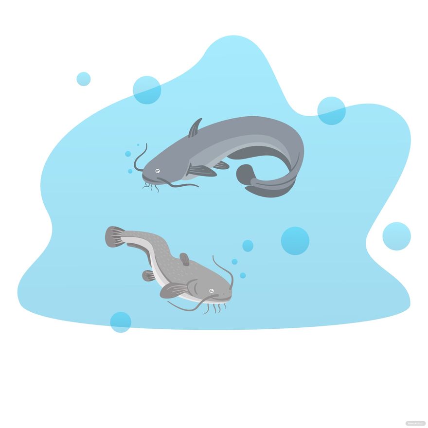 Catfish Vector in Illustrator, EPS, SVG, JPG, PNG