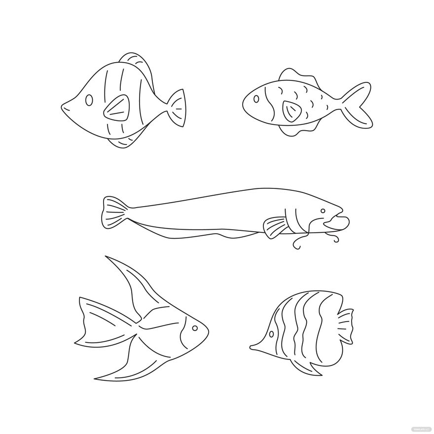 Detailed Illustration Of A Fish Line Art On White Royalty Free SVG,  Cliparts, Vectors, and Stock Illustration. Image 15667294.