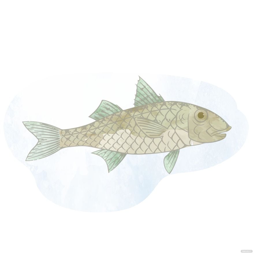 Watercolor Fish Vector in Illustrator, EPS, SVG, JPG, PNG