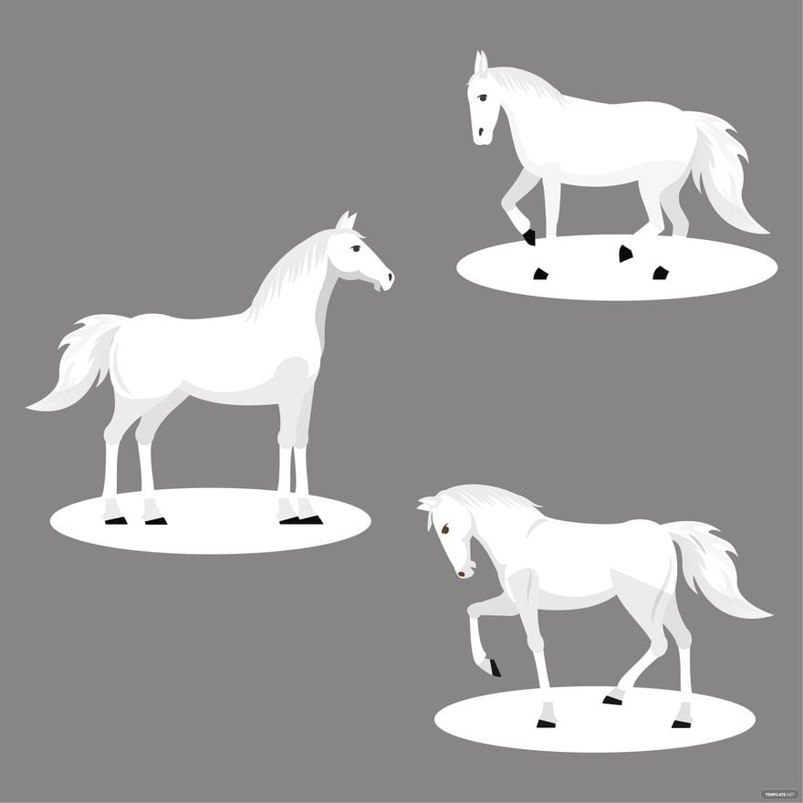 Free White Horse Vector in Illustrator, EPS, SVG, JPG, PNG