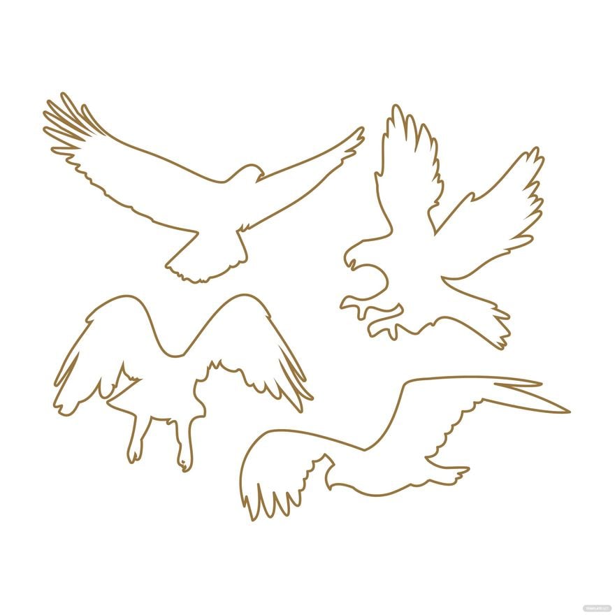 Free Transparent Eagle Vector in Illustrator, EPS, SVG, JPG, PNG