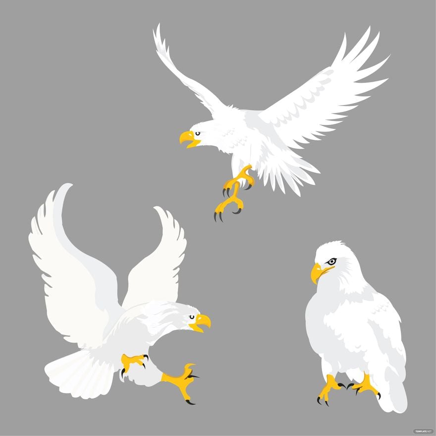 White Eagle Vector in Illustrator, EPS, SVG, JPG, PNG