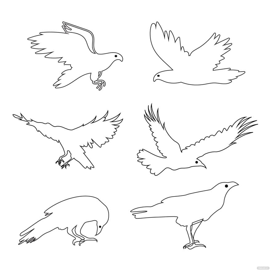 Eagle Outline Vector in Illustrator, EPS, SVG, JPG, PNG