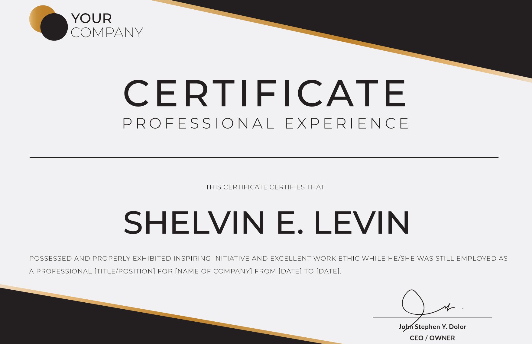 Professional Experience Certificate Template