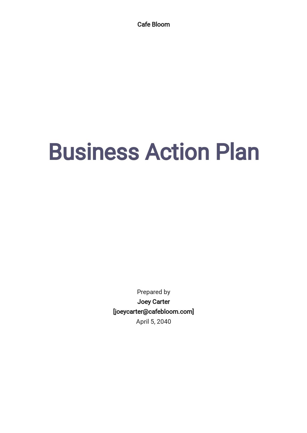 Free Business Action Plan PDF Templates 14  Download Template net