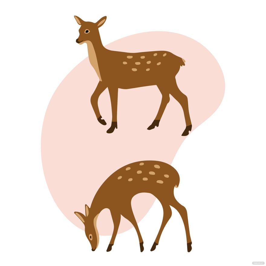 Doe Deer Vector in Illustrator, EPS, SVG, JPG, PNG