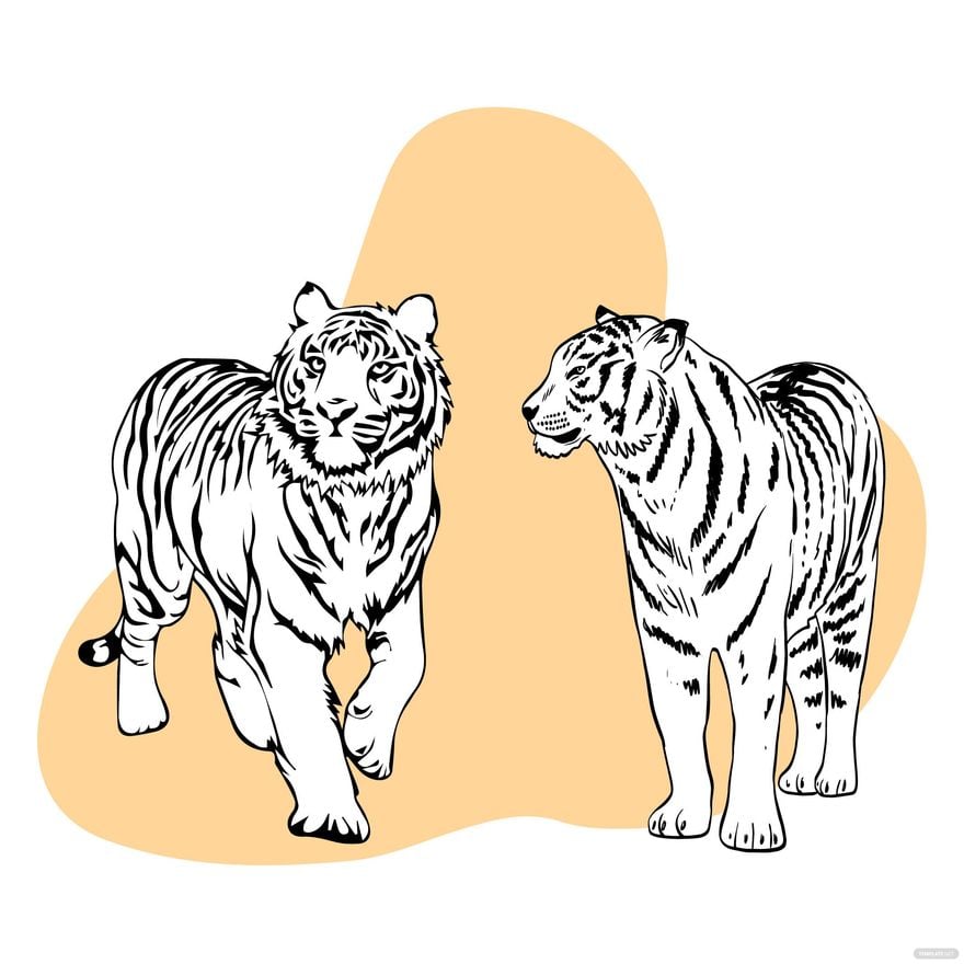 Black and White Tiger Vector