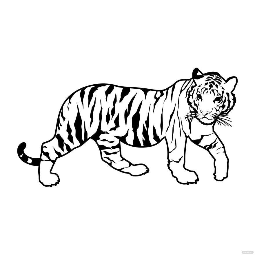 Tiger Outline Vector in Illustrator, EPS, SVG, JPG, PNG