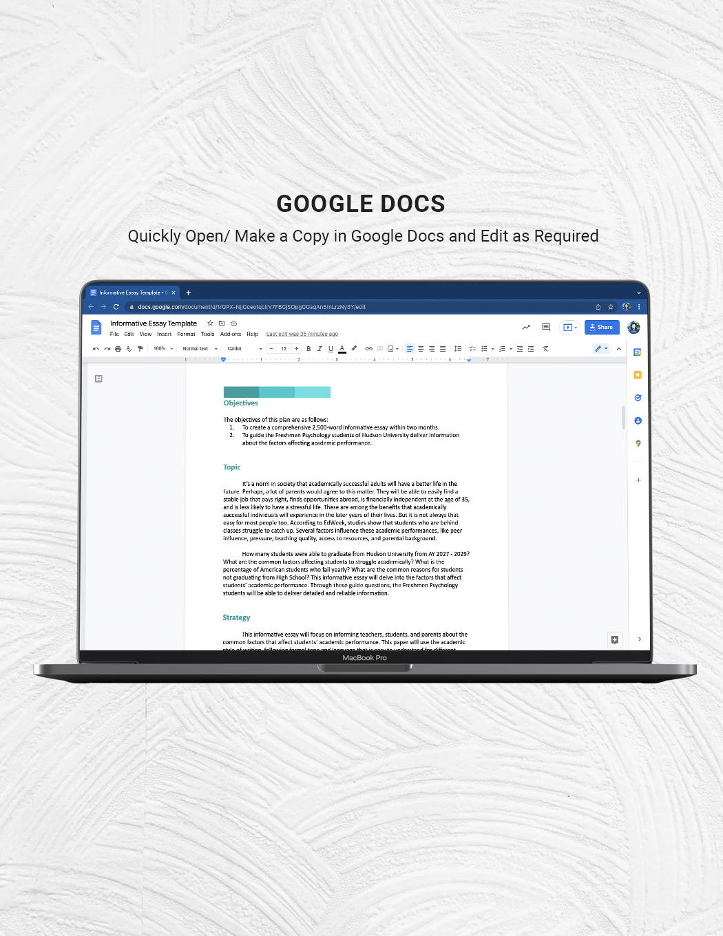 Informative Essay Template Download in Word Google Docs Template net