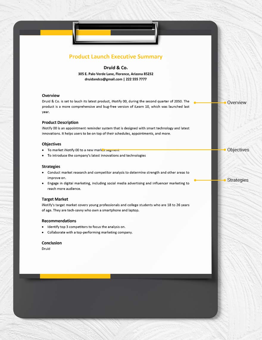Product Launch Executive Summary Template