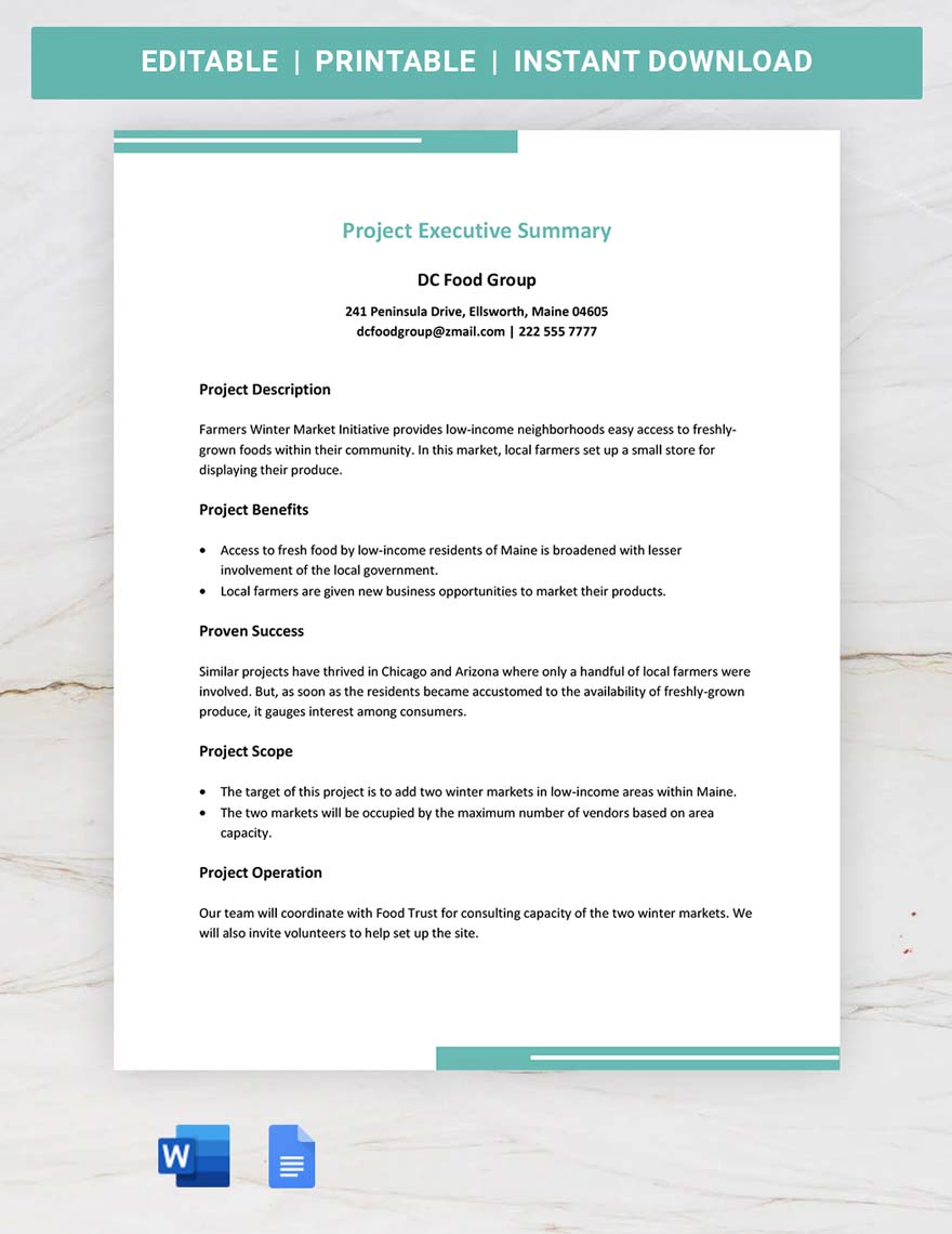 Project Executive Summary Template in Word, Google Docs