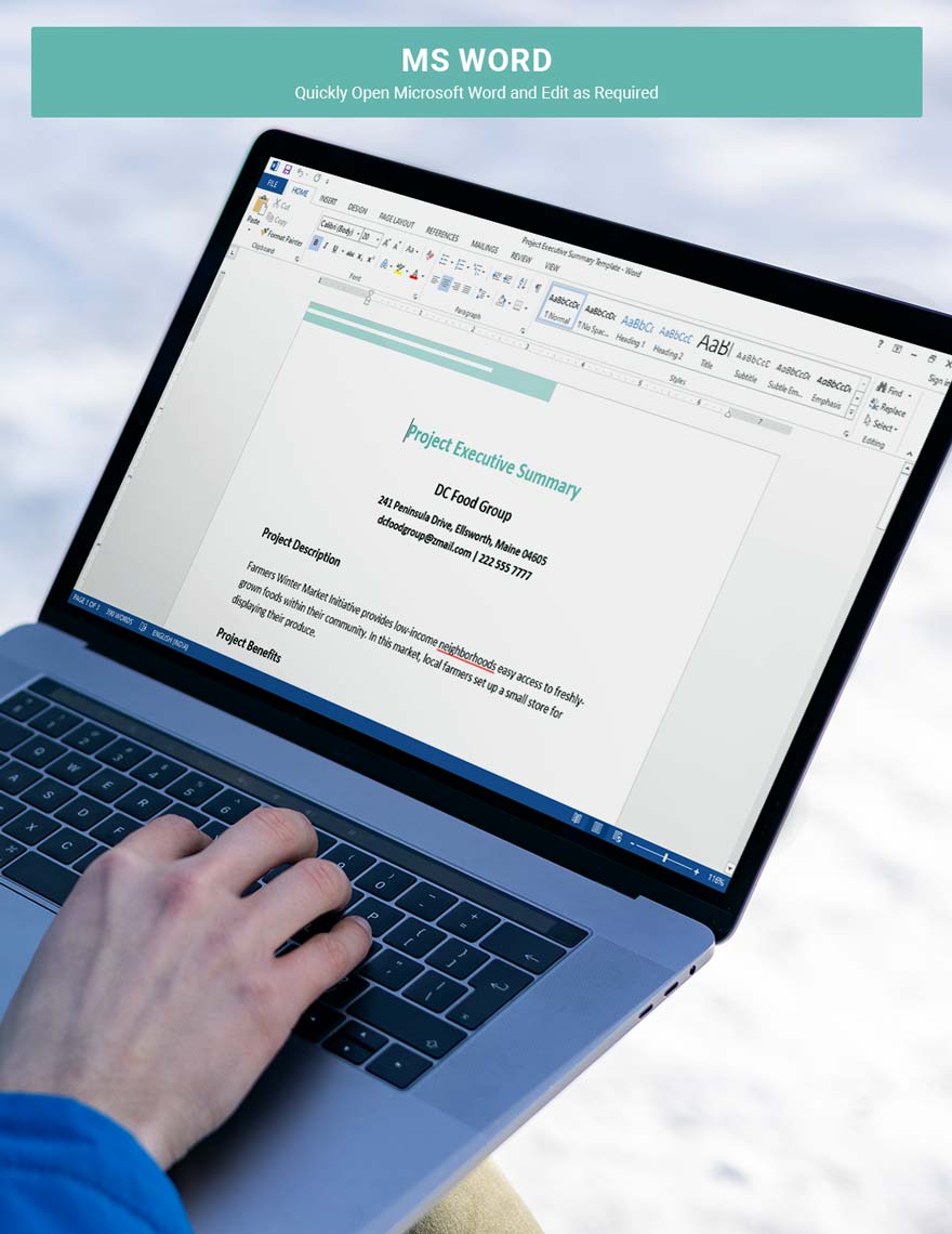 Project Executive Summary Template Google Docs Word Template