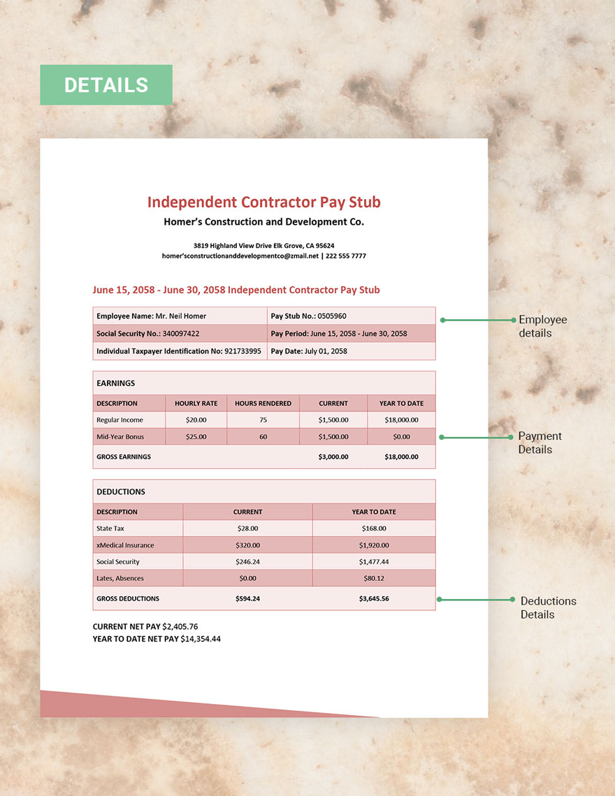 Independent Contractor Pay Stub Template Google Docs Word Apple
