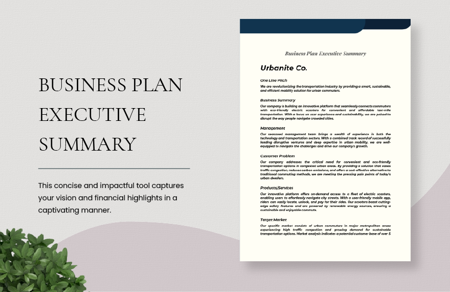 business-plan-executive-summary