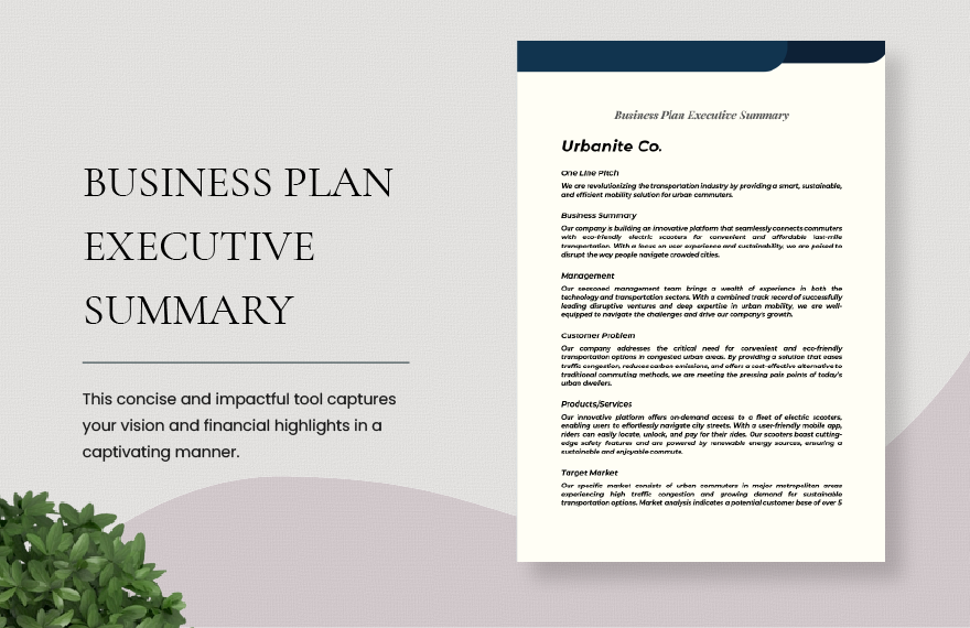 executive template for business plan