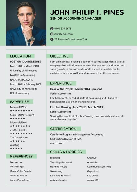 free resume templates for experienced it professionals