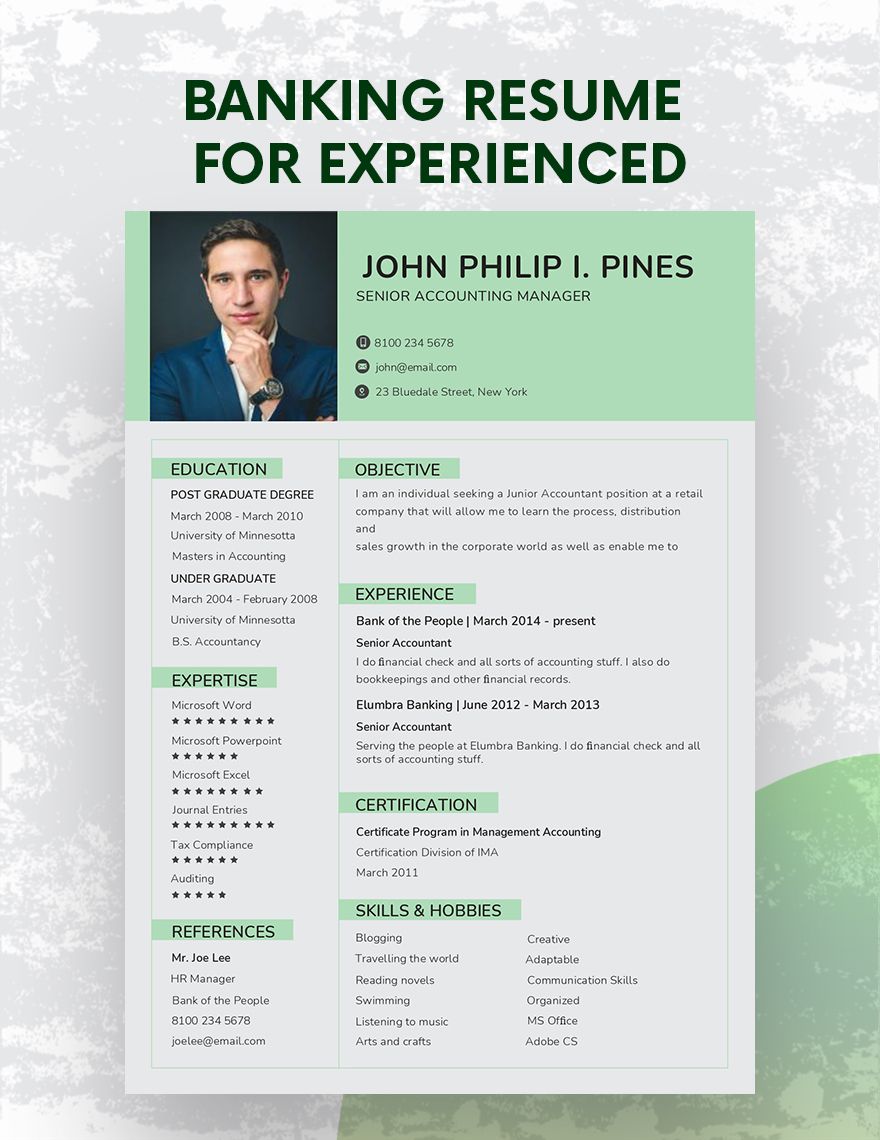 Banking Resume for Experienced in Word, PDF, Illustrator, Apple Pages, Publisher, InDesign