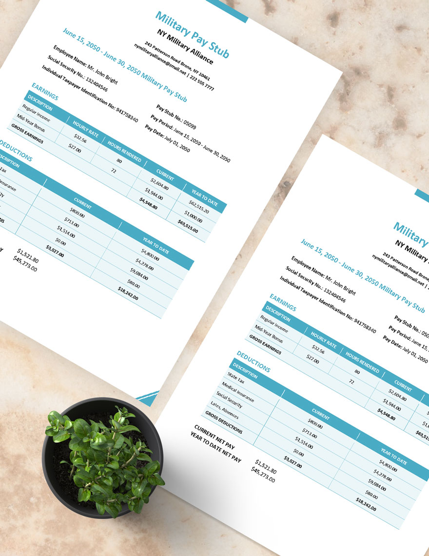 Free Military Pay Stub Template Download In Word Google Docs Apple 