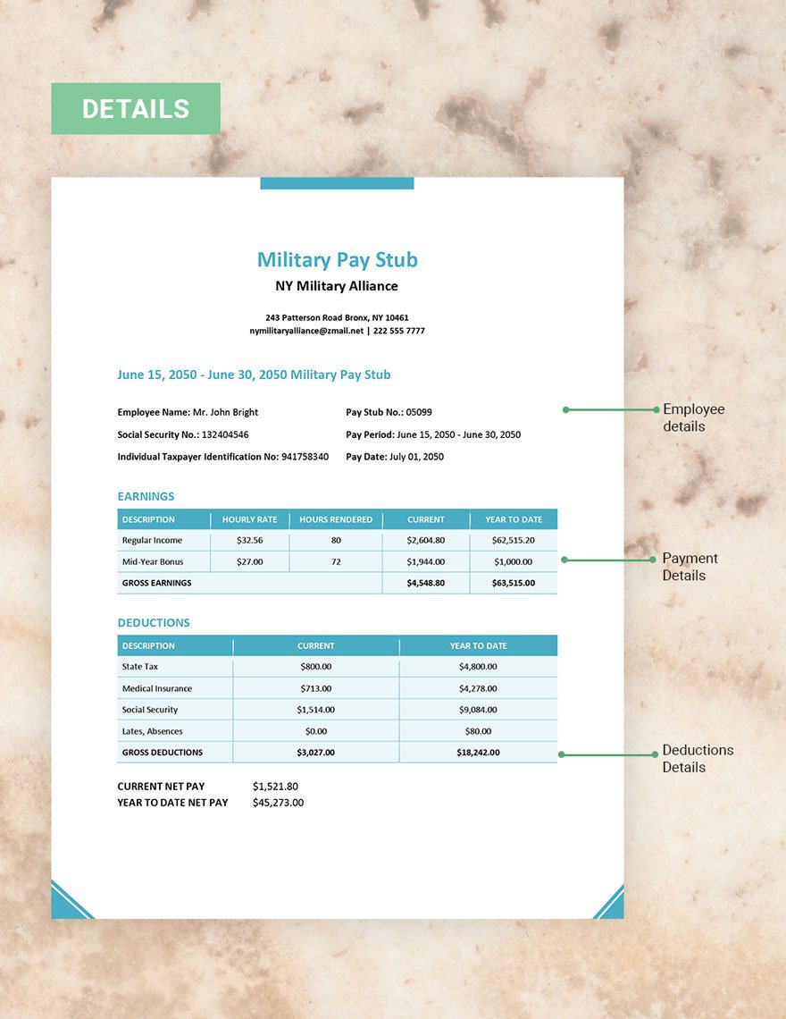 Military Pay Stub Template