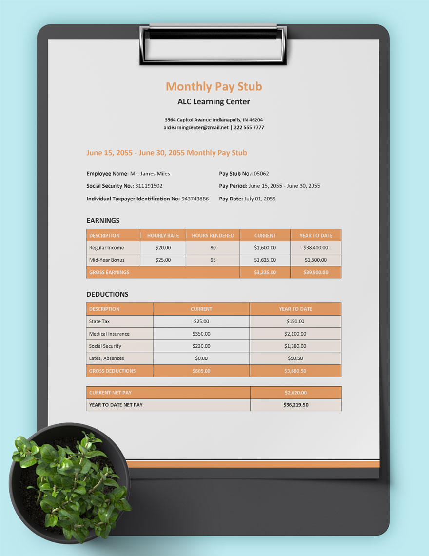 Monthly Pay Stub Template