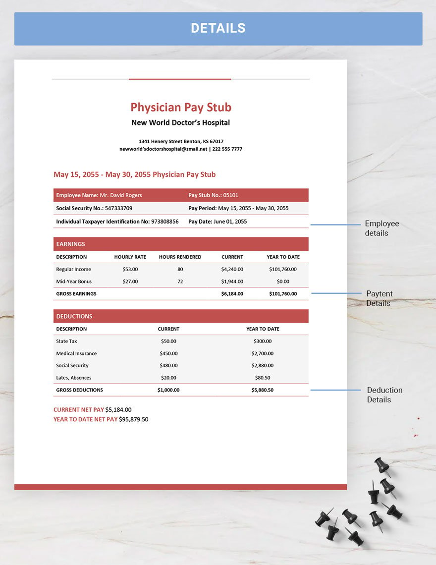 Physician Pay Stub Template