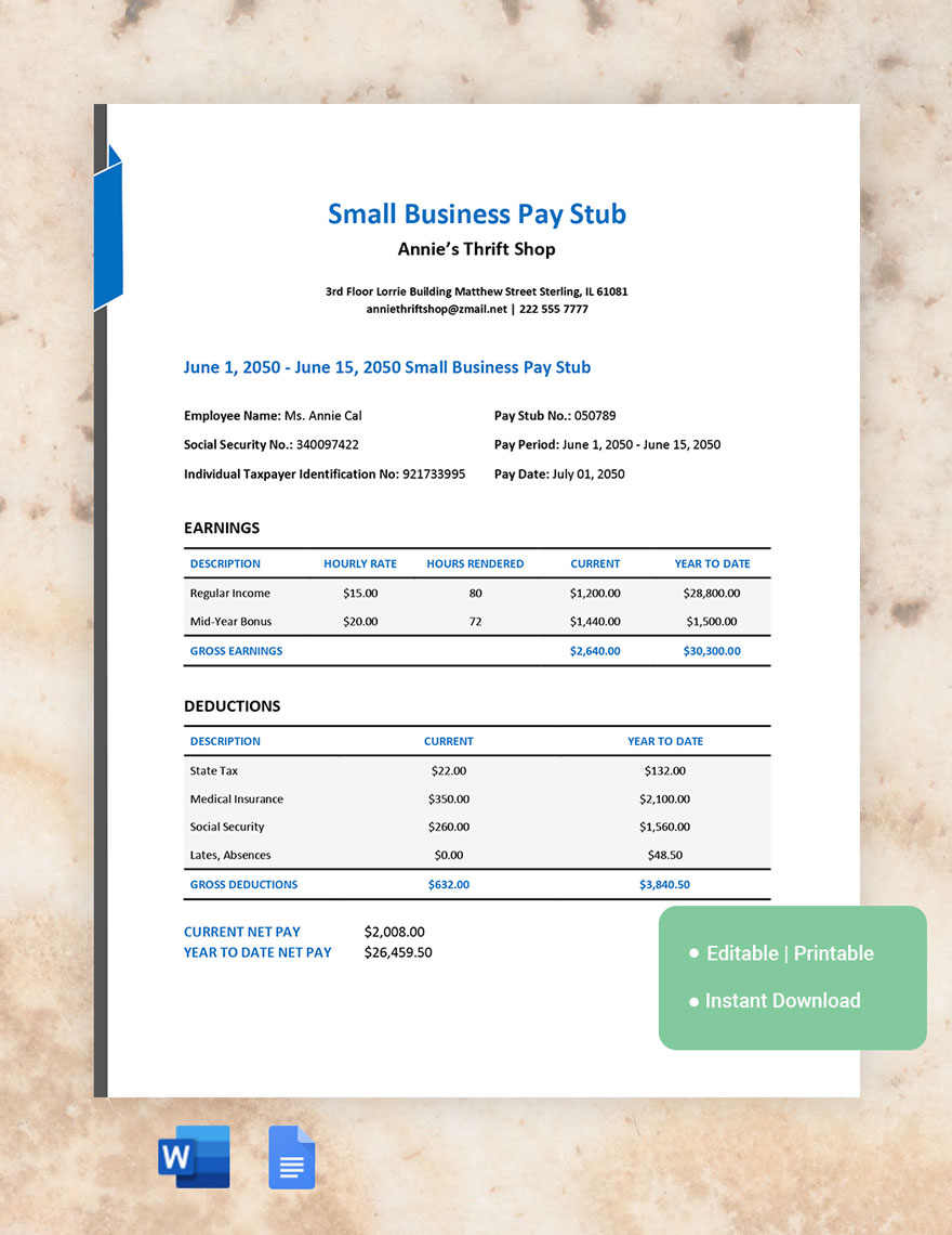 Self Employed Pay Stub Template Google Docs, Word