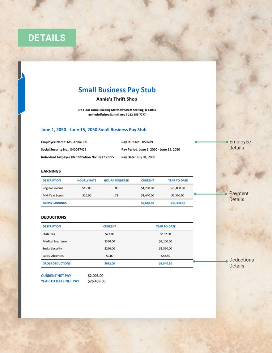 Small Business Pay Stub Template