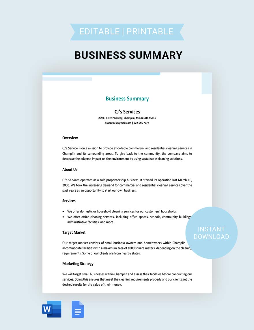 Business Summary Template