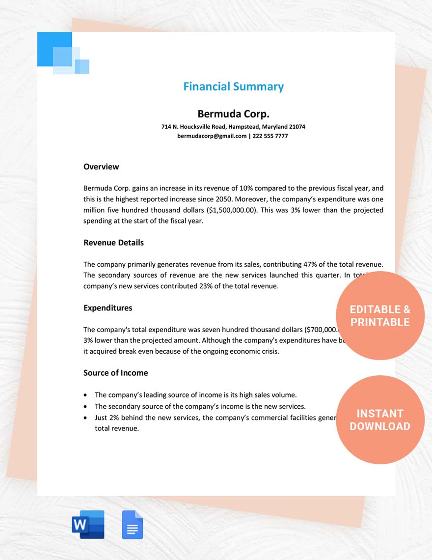 Financial Summary Template in Word, Google Docs
