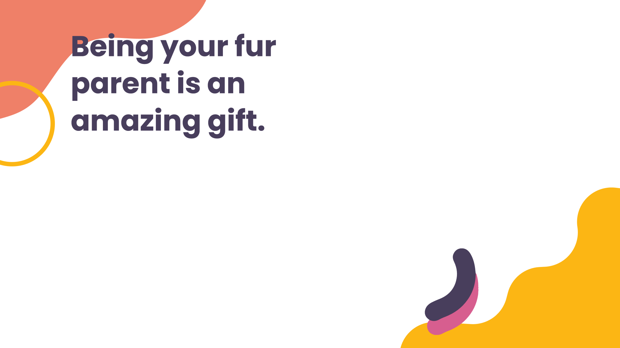 Free Pets Birthday Video Template to Edit Online