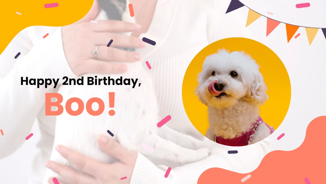 Pets Birthday Video Template