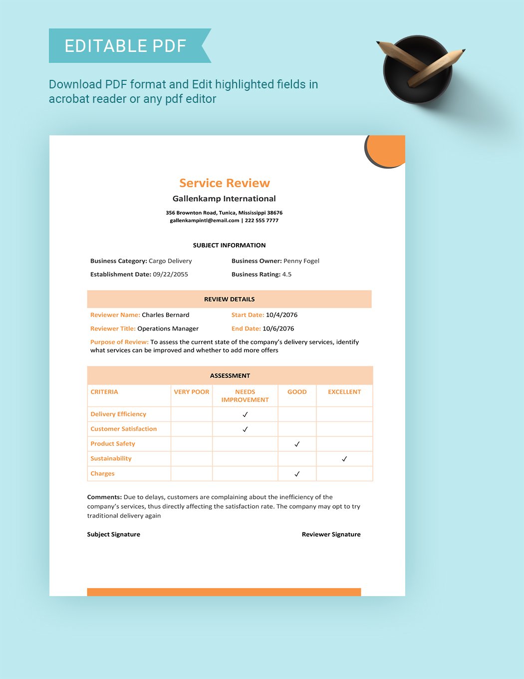 Service Review Template