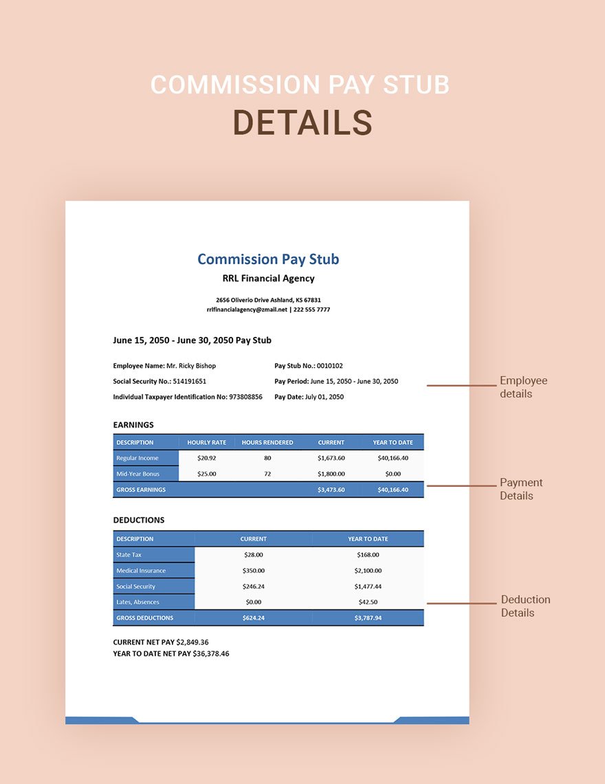 Commission Pay Stub Template in GDocsLink MS Word Pages Download