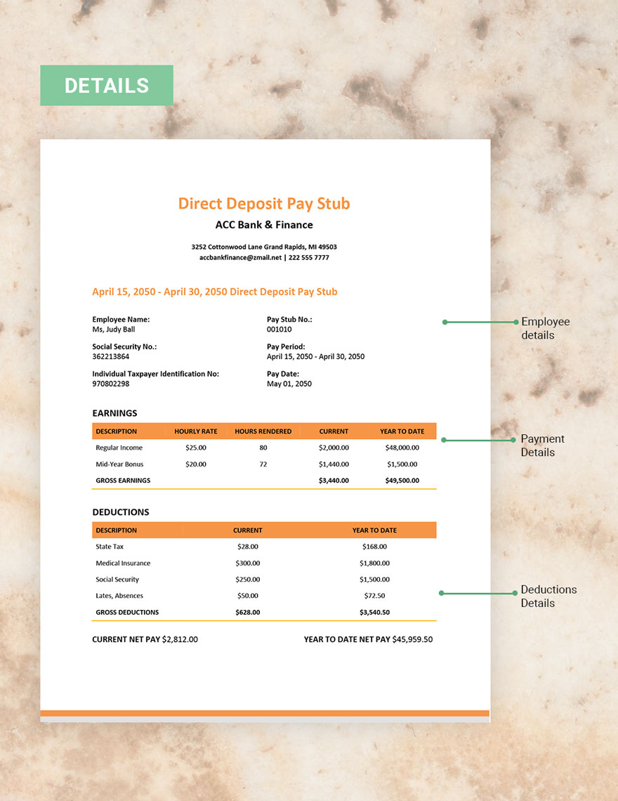 Direct Deposit Pay Stub Template Download in Word, Google Docs, Apple