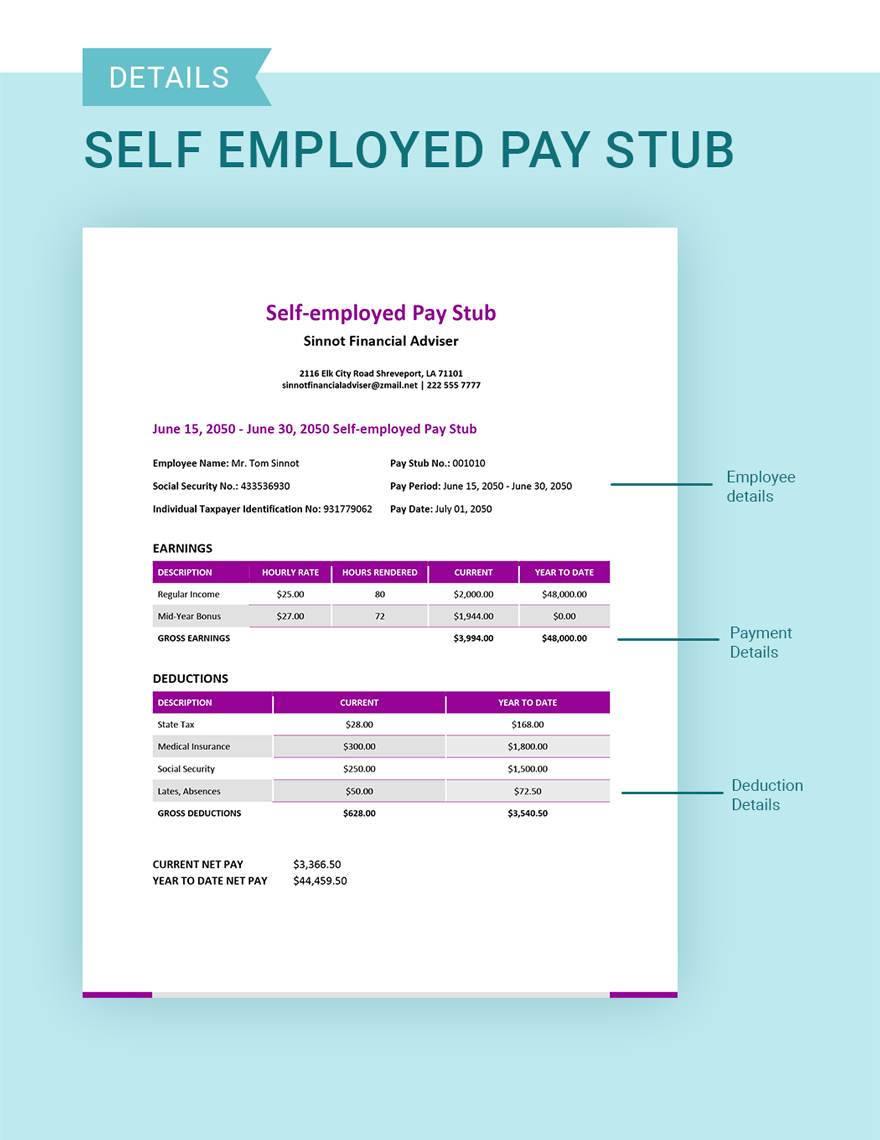 Self Employed Pay Stub Template