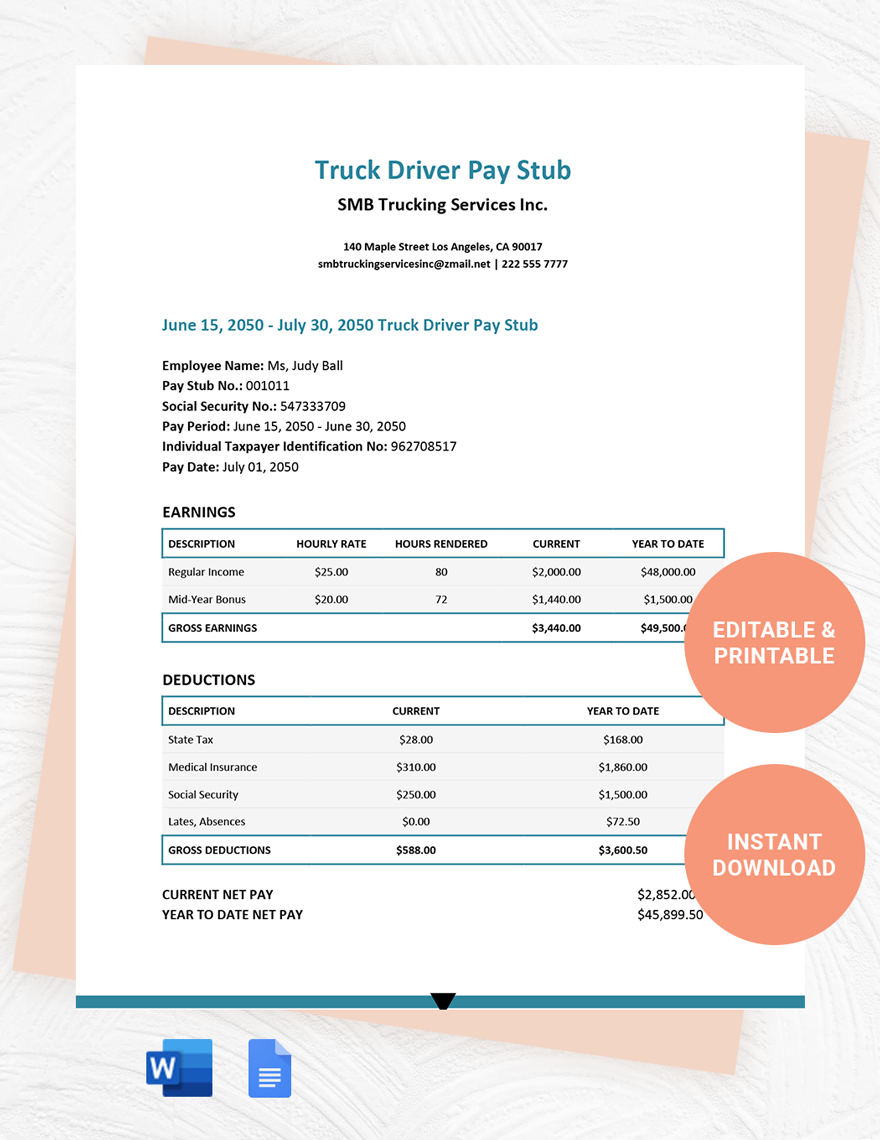 Truck Driver Pay Stub Template
