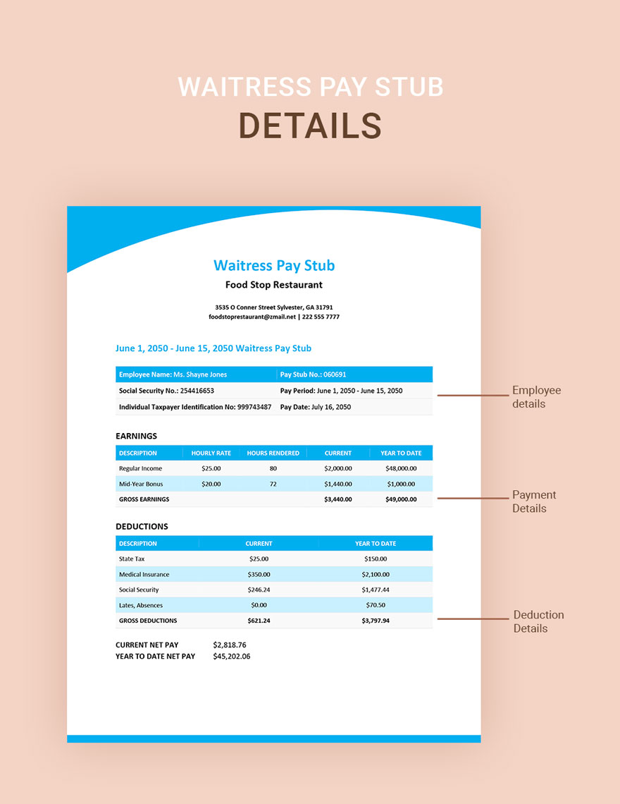 Waitress Pay Stub Template Download in Word, Google Docs, Apple Pages