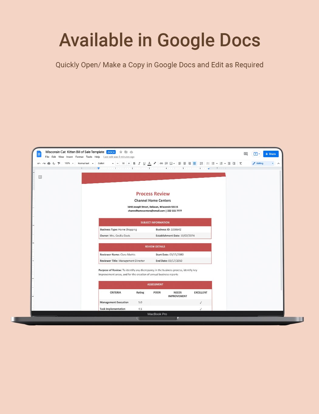 Process Review Template in Word, Google Docs