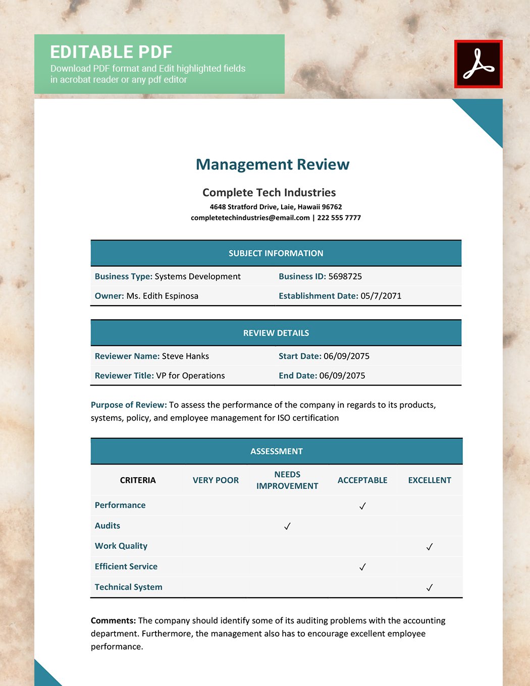 Management Review Template Download in Word, Google Docs