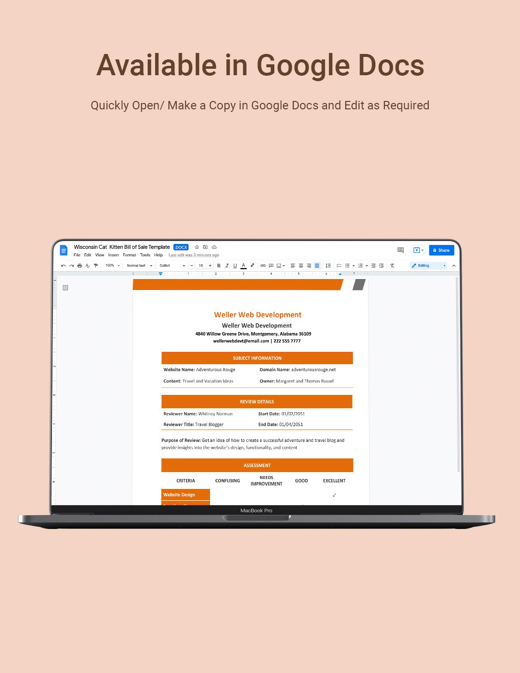 Website Review Template in Word Google Docs Download Template net