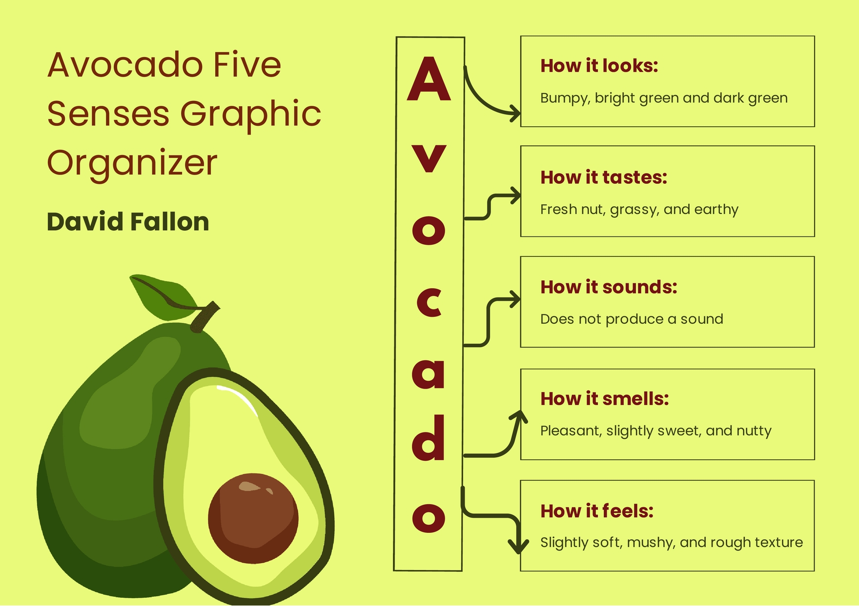 free-five-senses-graphic-organizer-template-download-in-word-google