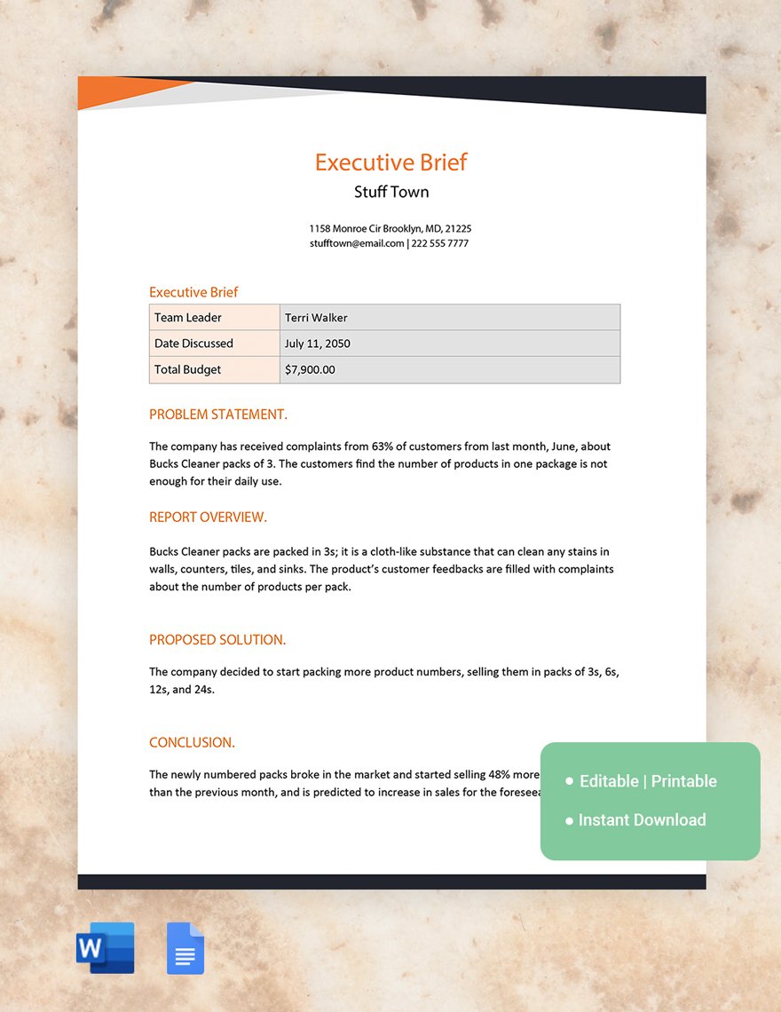 Executive Brief Template in Word, Google Docs
