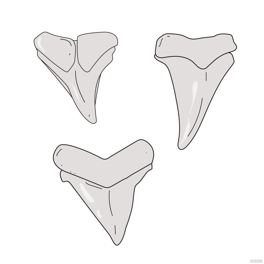 shark tooth drawing