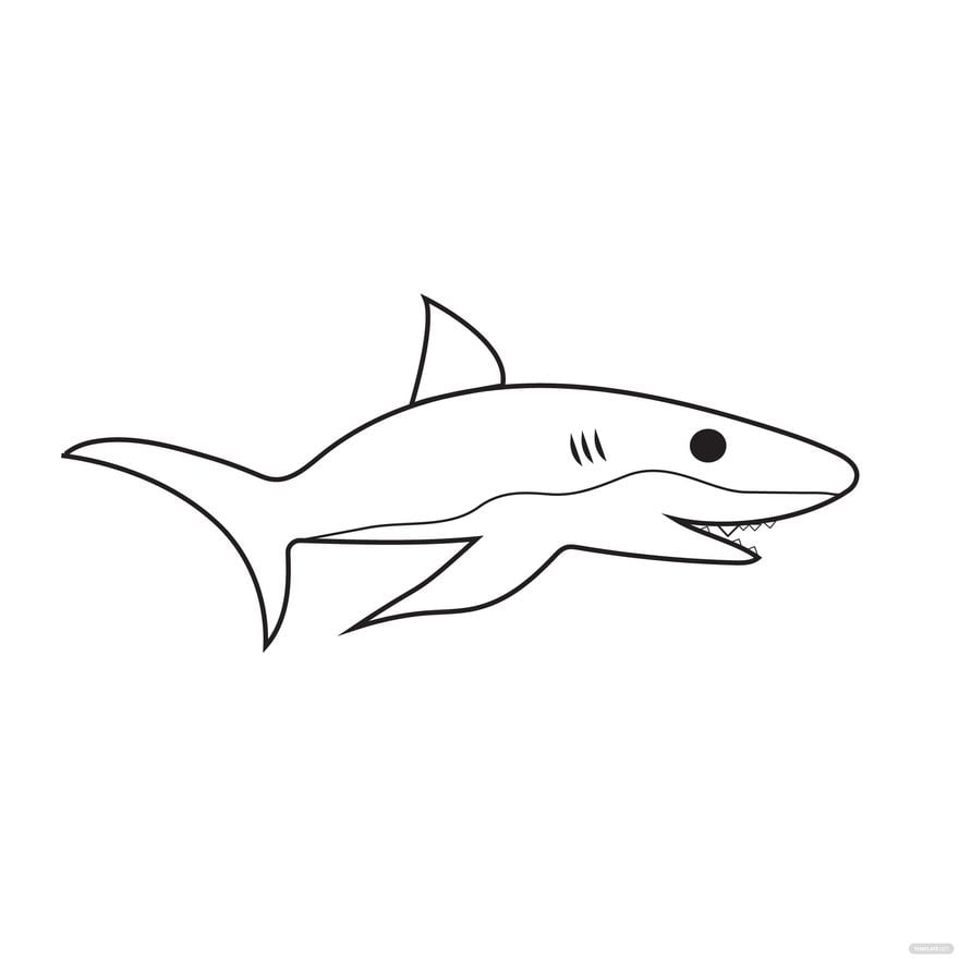Transparent Shark Vector