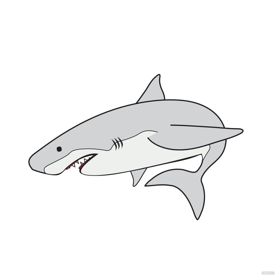 Free Ghost Shark Vector - EPS, Illustrator, JPG, PNG, SVG | Template.net