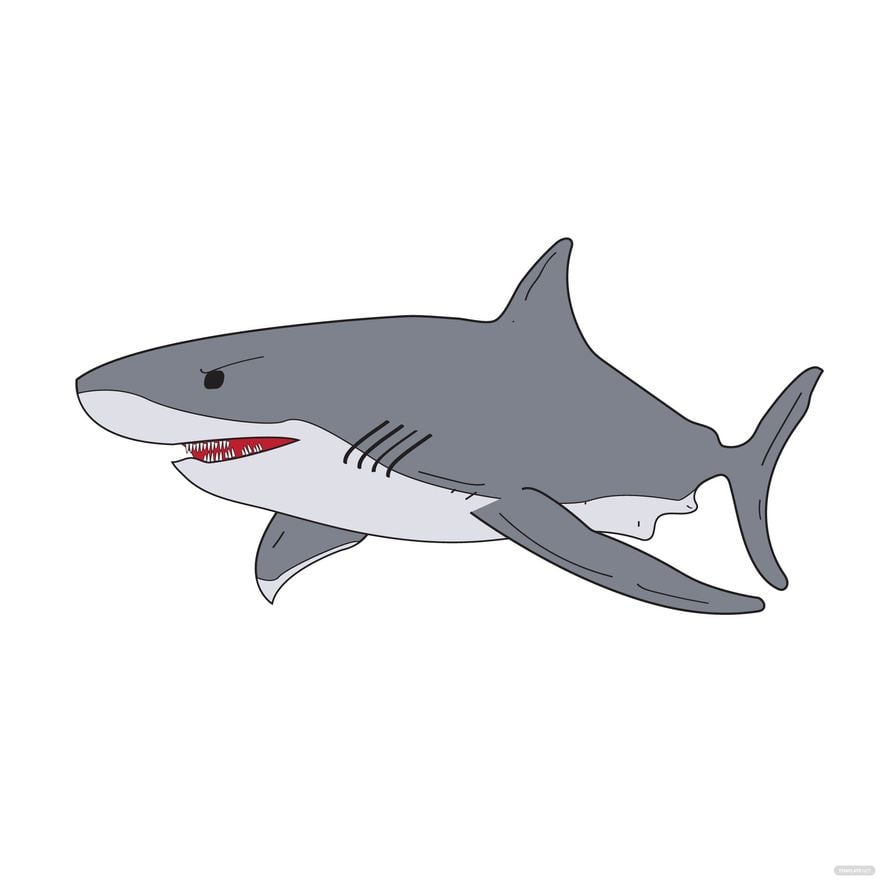 Free Great White Shark Vector