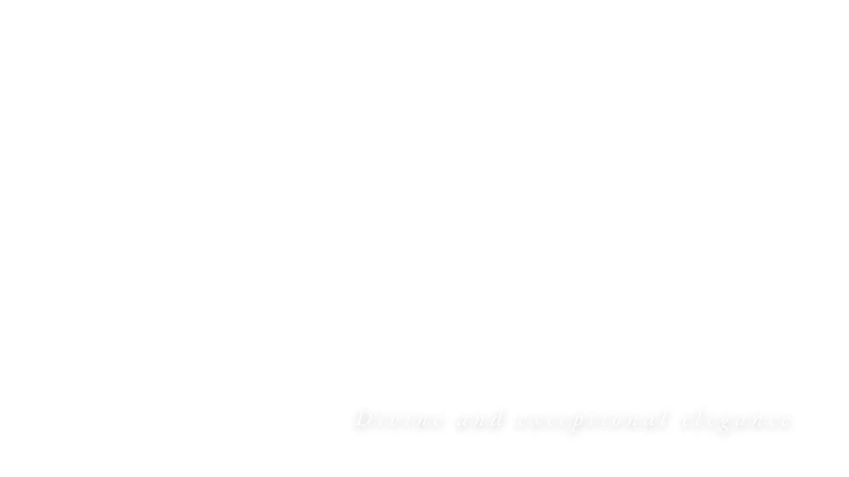 Free Logo Reveal Intro Video Template to Edit Online